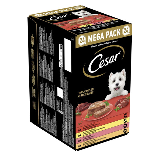 Cesar Classic alu kuipje paté mp 24x150gr