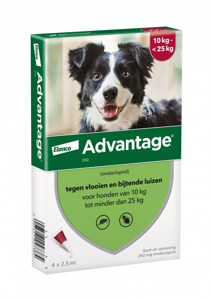 Advantage parasietbehandeling hond 250 10-25kg 4pip