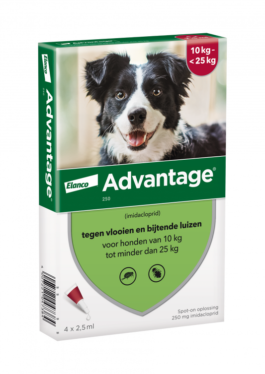 Advantage parasietbehandeling hond 250 10-25kg 4pip