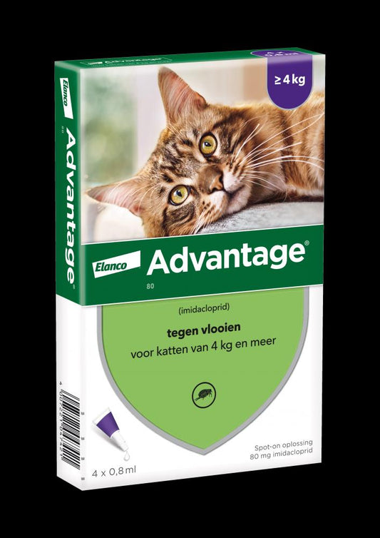 Advantage parasietbehandeling kat 80 >4kg 4pip