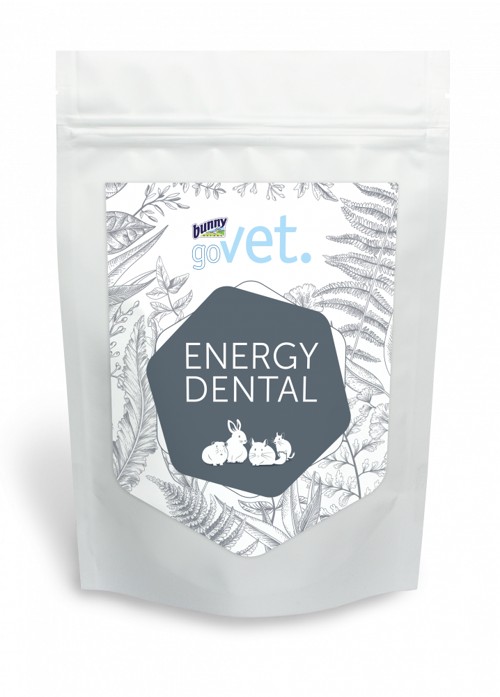 Bunny GoVet energy dental 1,2kg