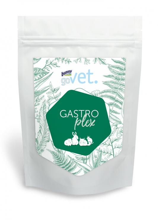 Bunny GoVet gastroplex 325gr