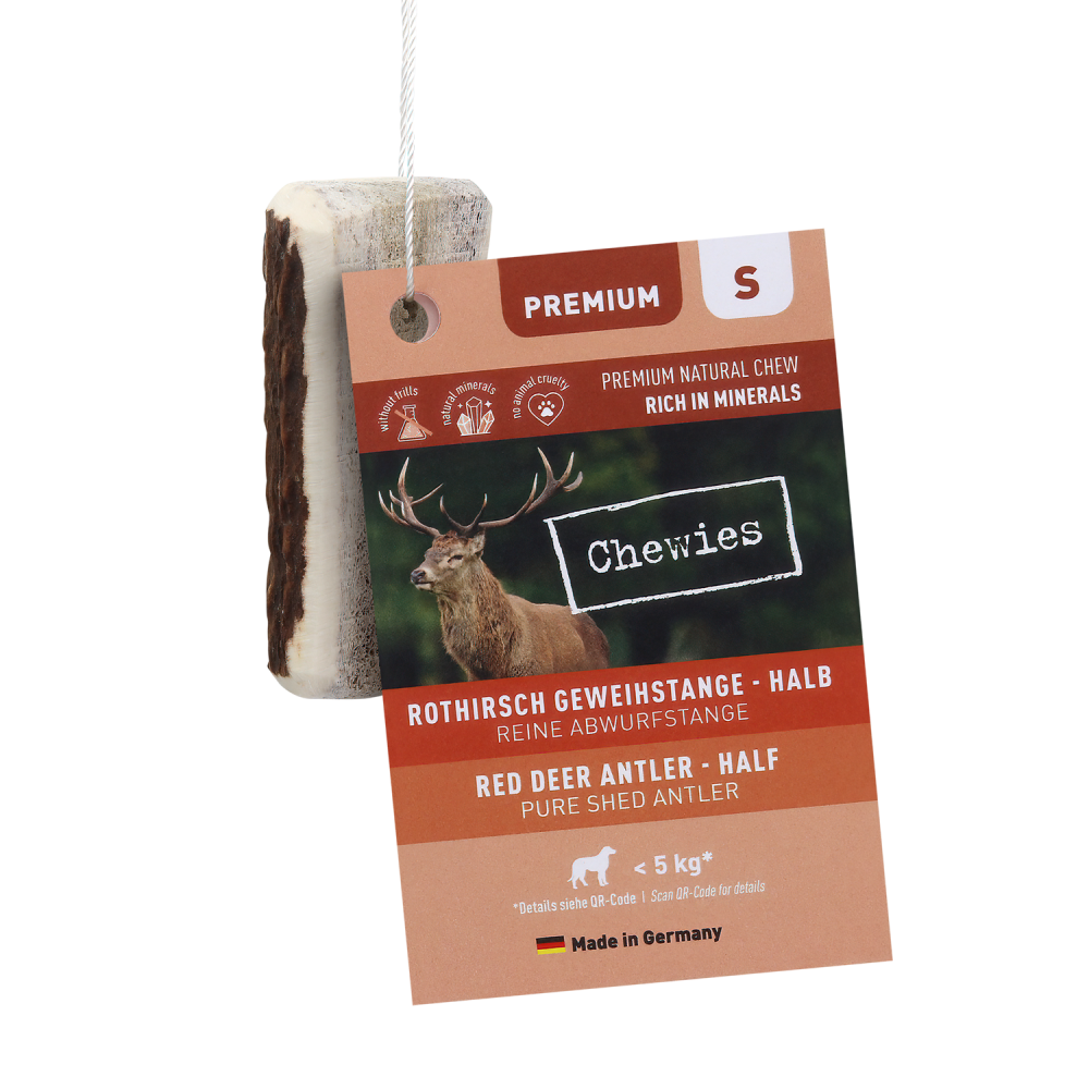 Chewies edelhertengewei half S tussen 30gr-49gr 1st