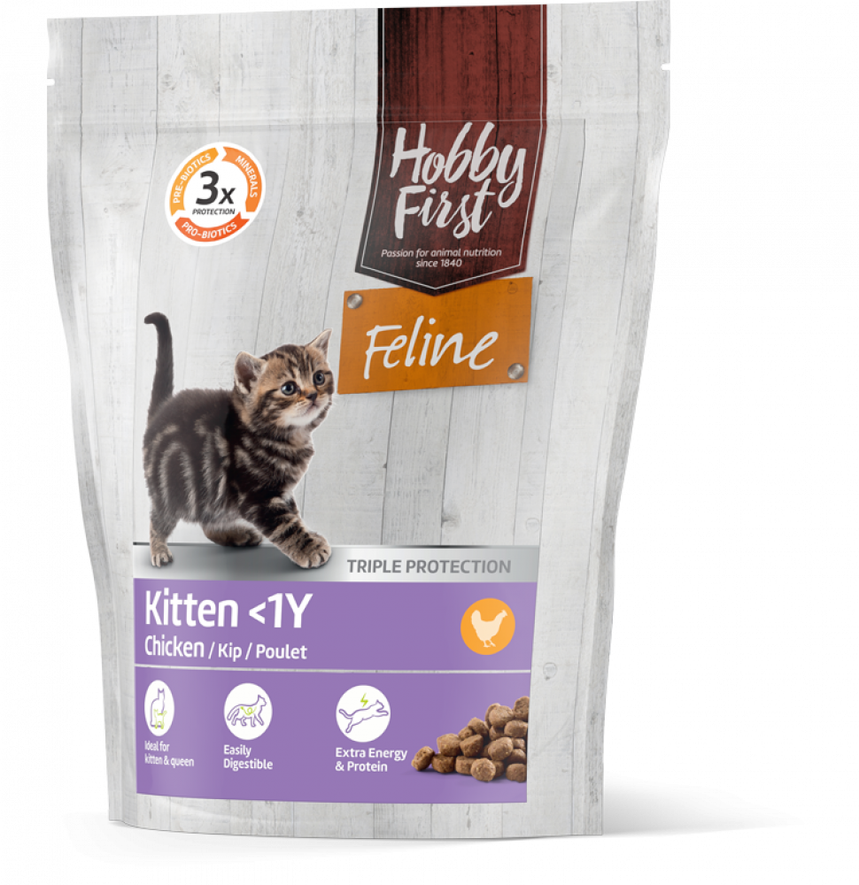 Hobby First Feline droog kitten <1y 800gr