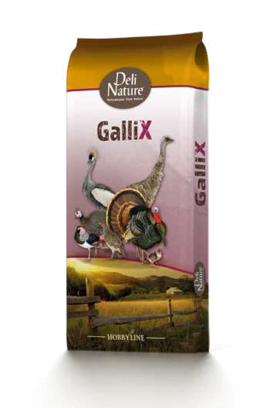 Deli Nature GalliX ornamental start meel 20kg