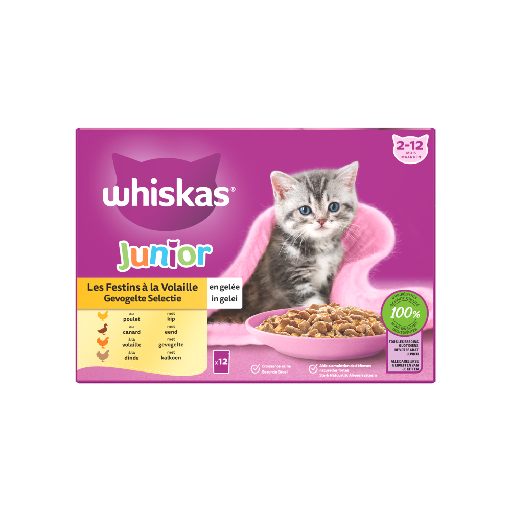 Whiskas 2-12M pouch junior gelei gevogelte selectie mp 12x85gr