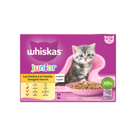 Whiskas 2-12M pouch junior gelei gevogelte selectie mp 12x85gr
