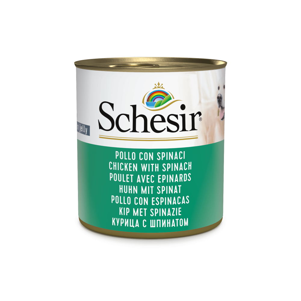 Schesir hond blik gelei kip&spinazie 285gr