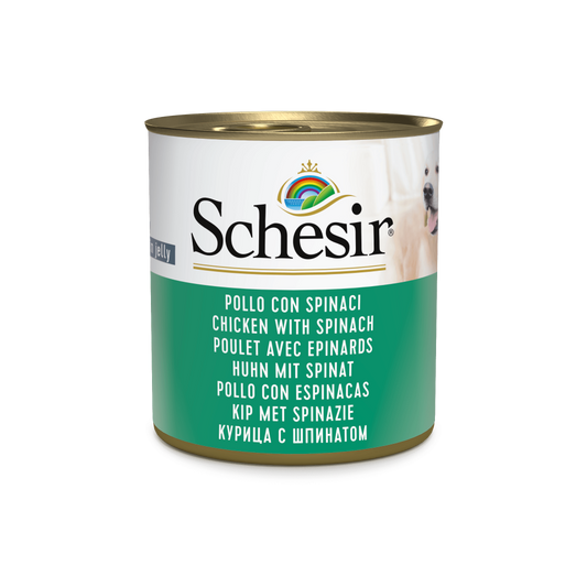 Schesir hond blik gelei kip&spinazie 285gr