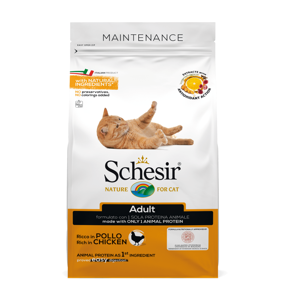 Schesir kat dry maintenance kip 400gr