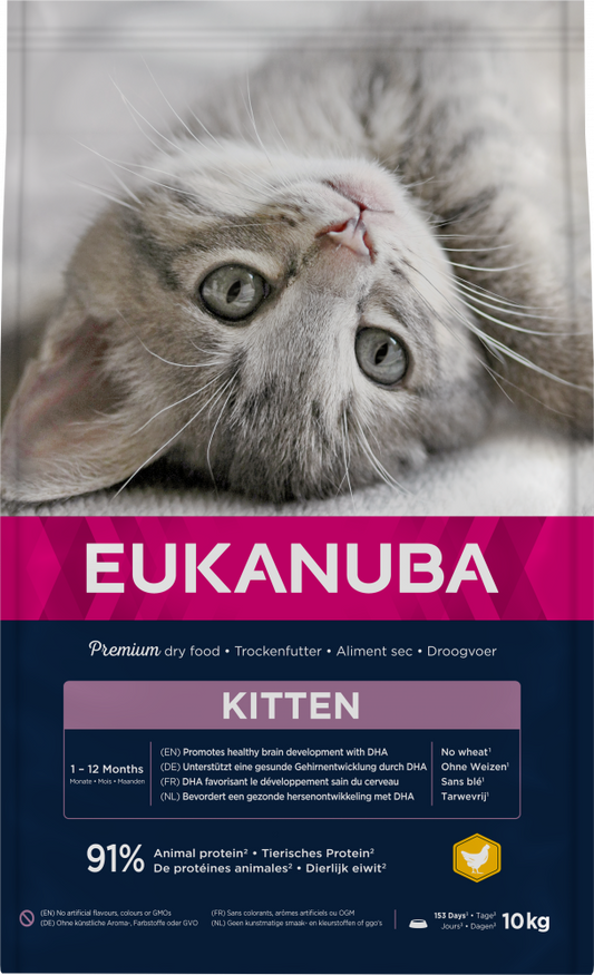 Eukanuba cat kitten chicken 10kg