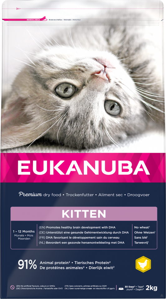 Eukanuba cat kitten chicken 2kg