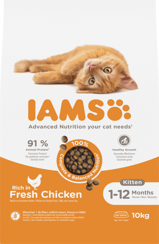 Iams cat kitten/junior chicken 10kg