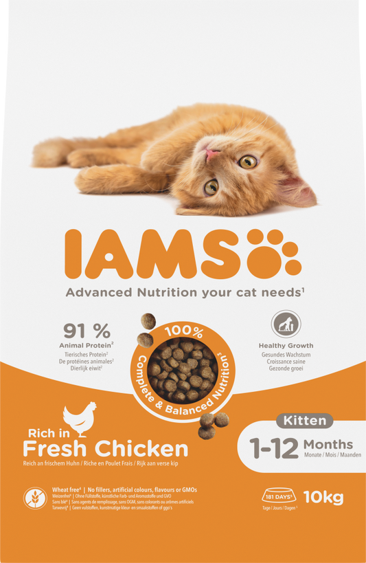 Iams cat kitten/junior chicken 10kg