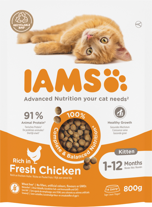 Iams cat kitten/junior chicken 800gr