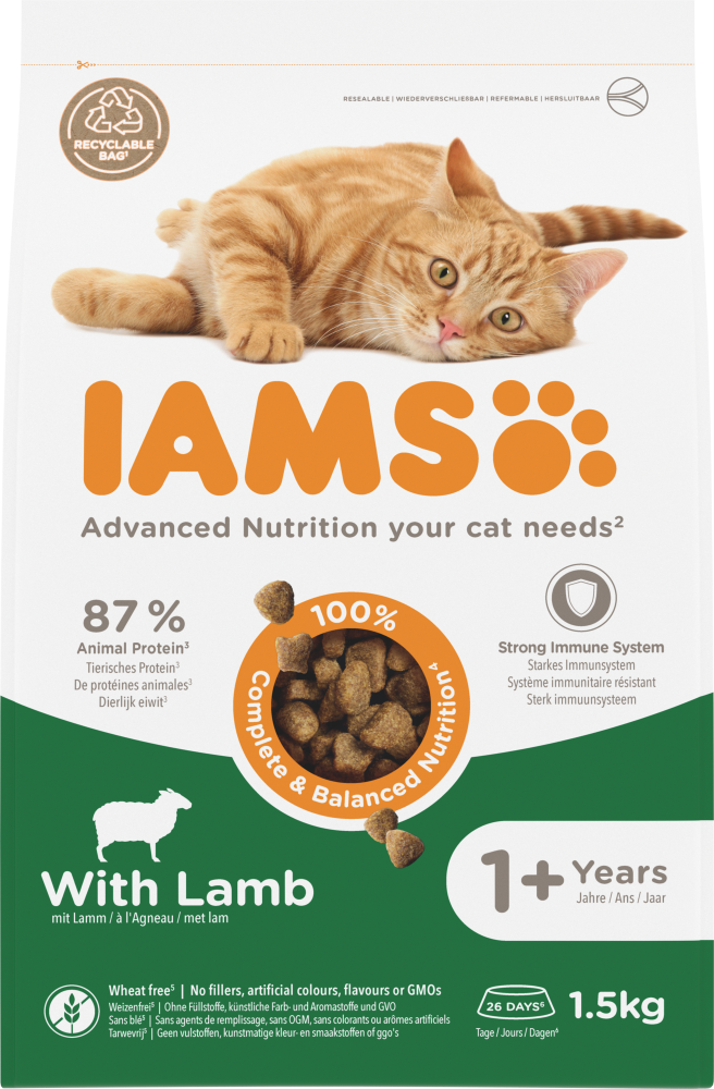 Iams cat adult lamb 1,5kg
