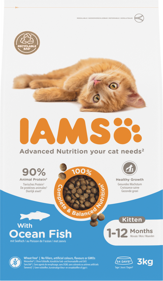 Iams cat kitten ocean fish 3kg