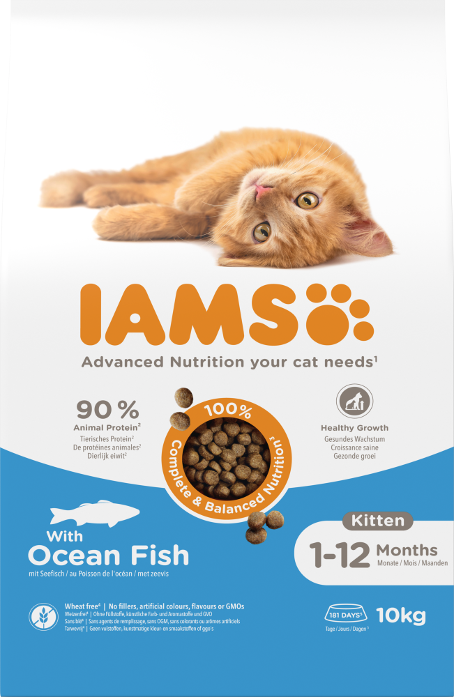 Iams cat kitten ocean fish 10kg