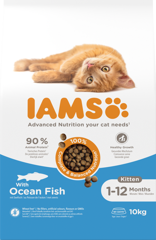 Iams cat kitten ocean fish 10kg